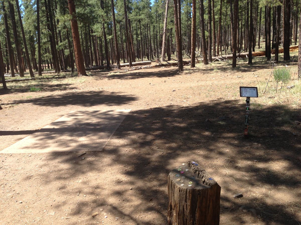 Hole 10