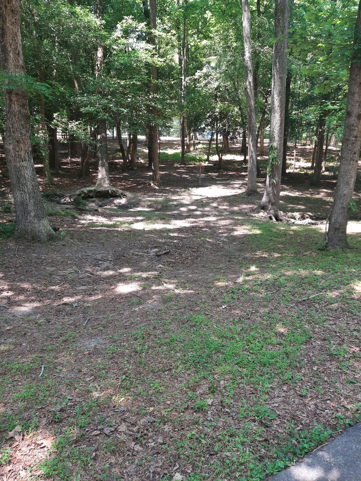 Hole 9 Approach Short of the Road