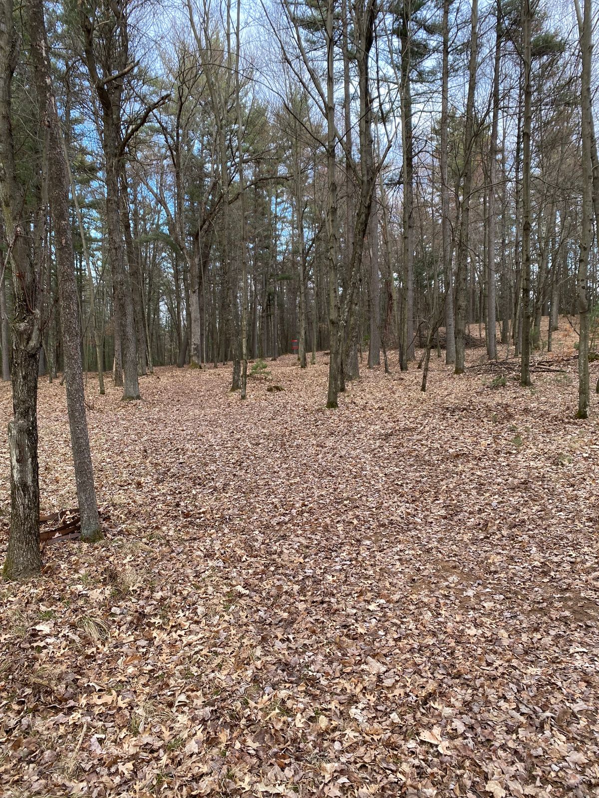 Hole 9 fairway view of basket