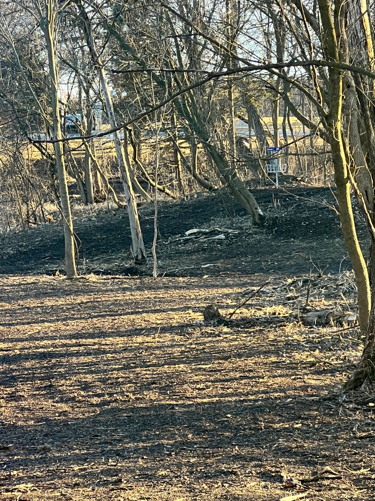 Zoomed in hole ones basket