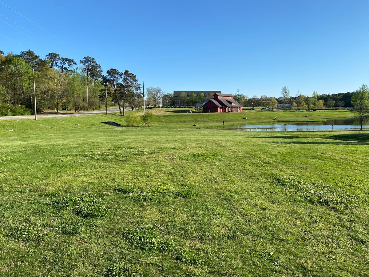 Hole 2 tee