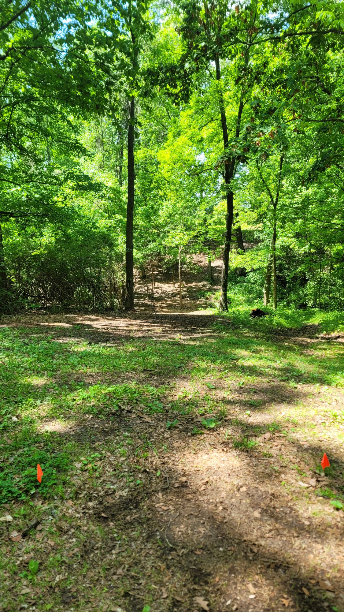 Hole 17 - pretty straight, down hill.