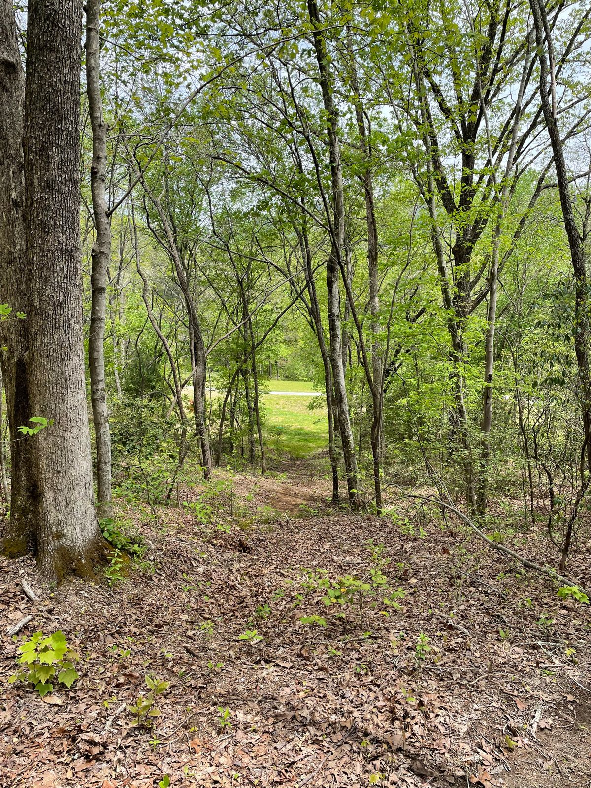 7th tee