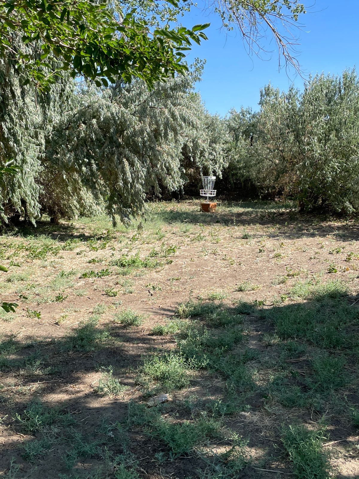 Hole 18 basket