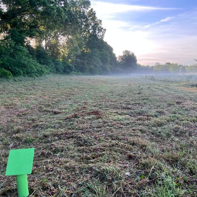 Hole 7 fairway from the tee