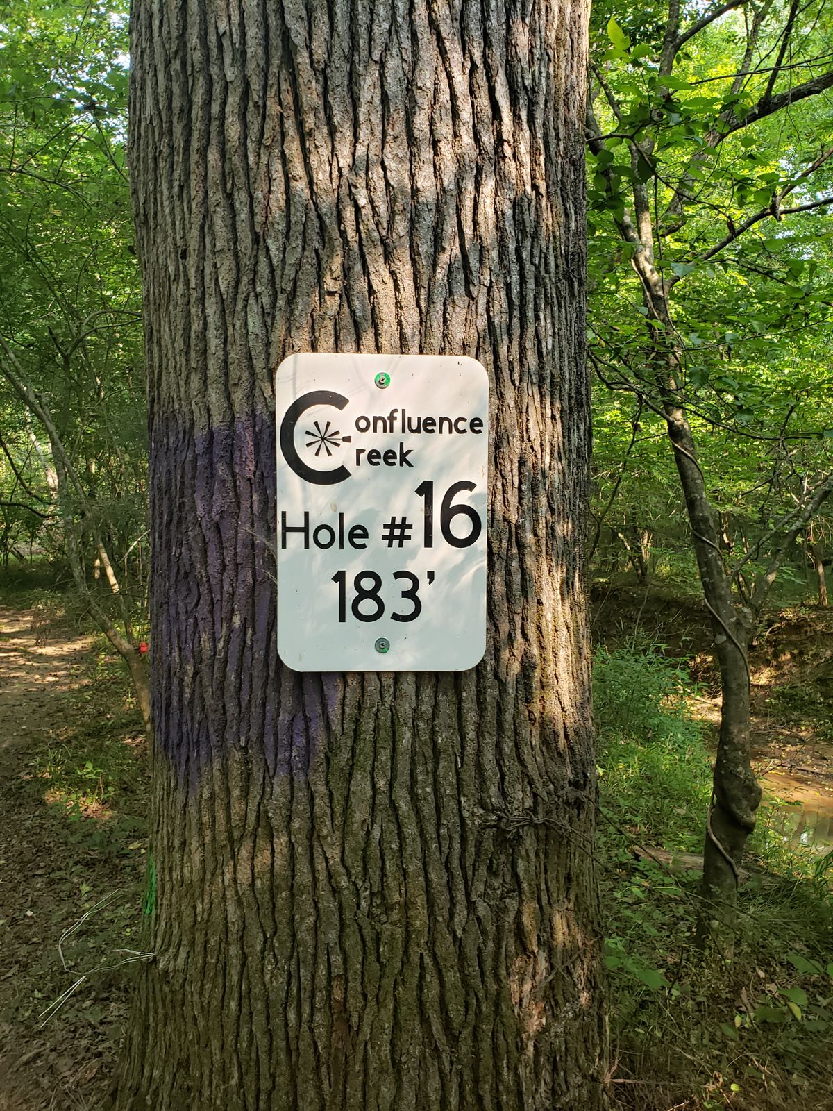 Hole 16 tee sign