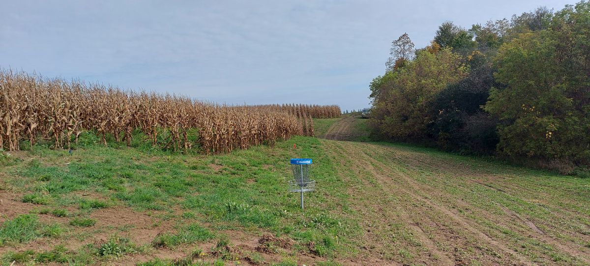 Reverse back up the fairway on hole 2. 🌽 🍁 🌽 🍁 🌽 🍁