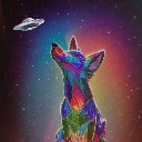 discoyote