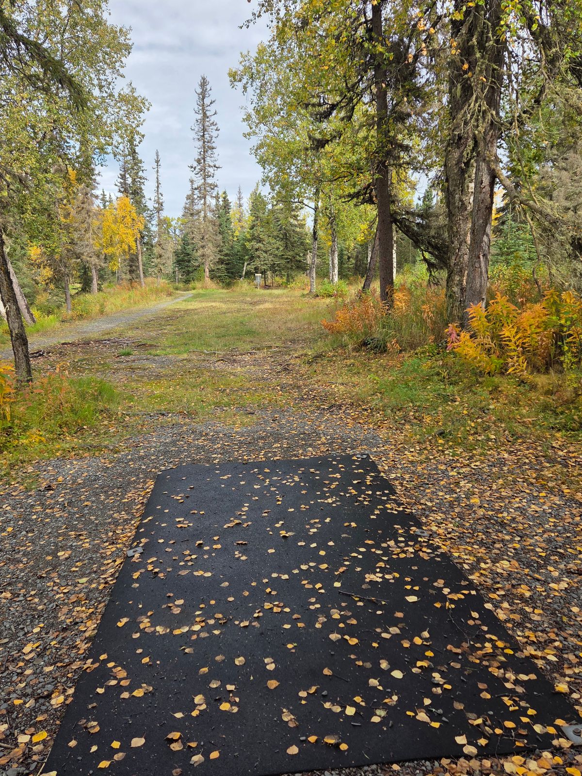 #7 tee pad and fairway