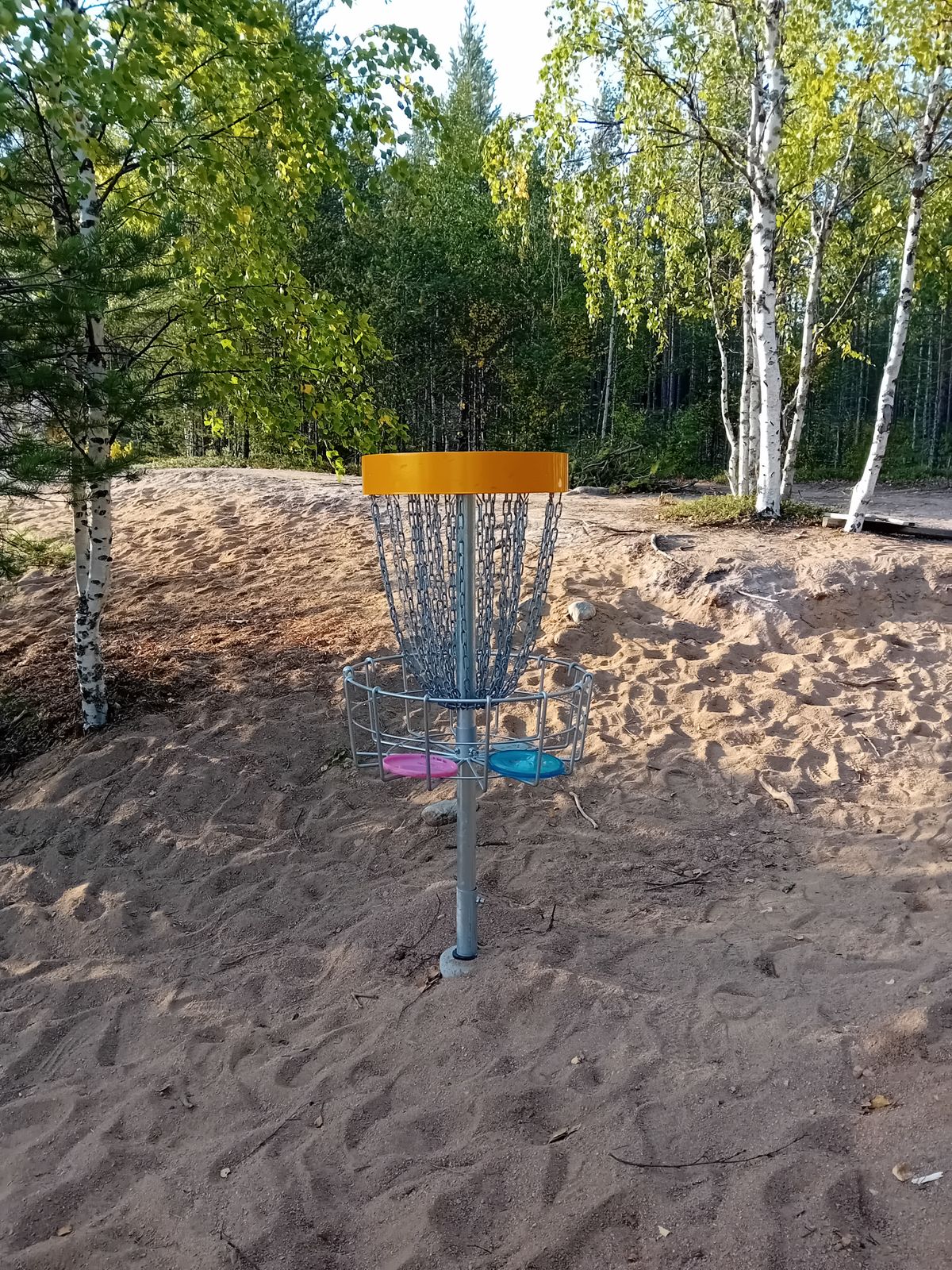 Väylä 5 kori