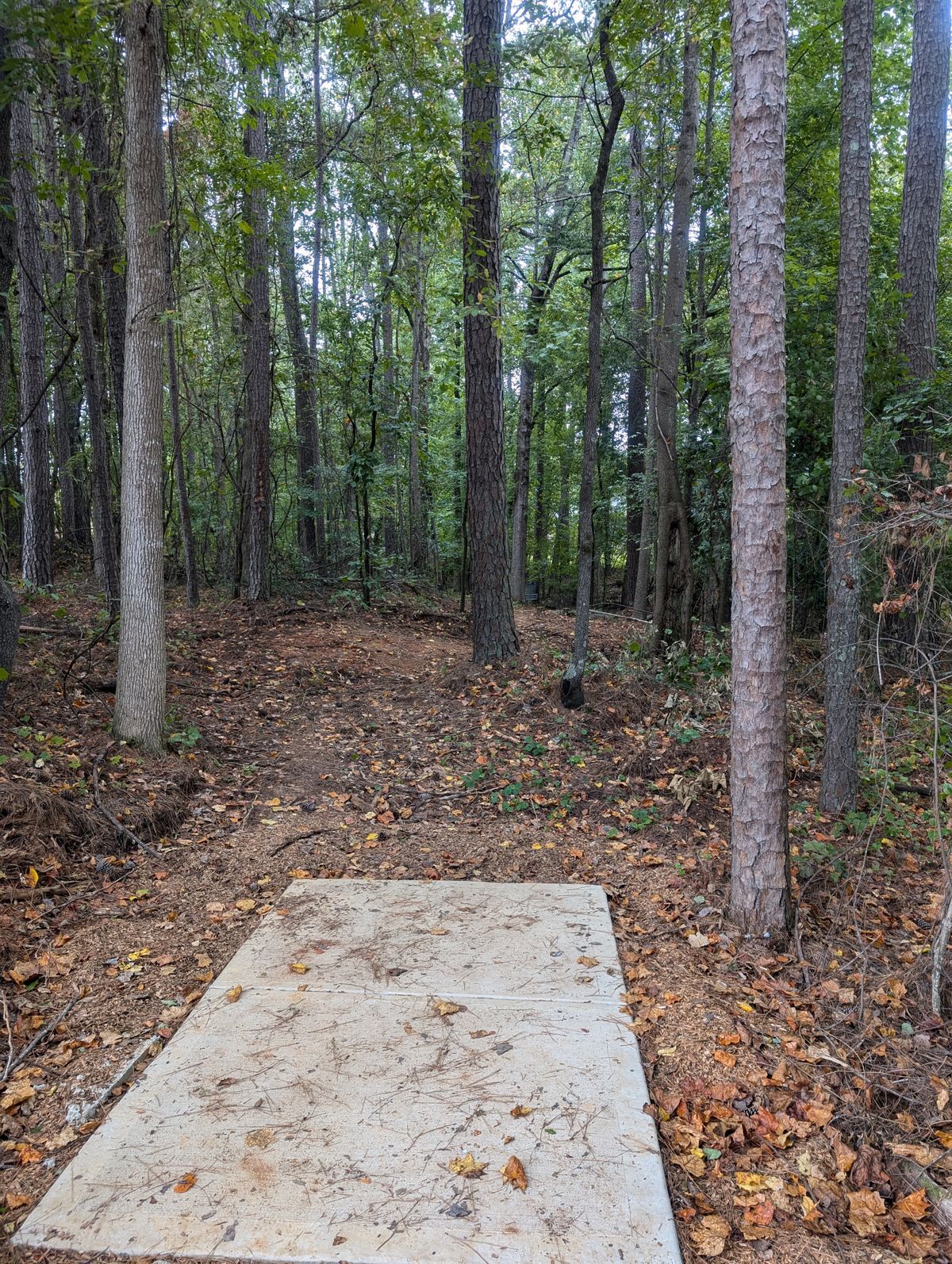 Hole 8