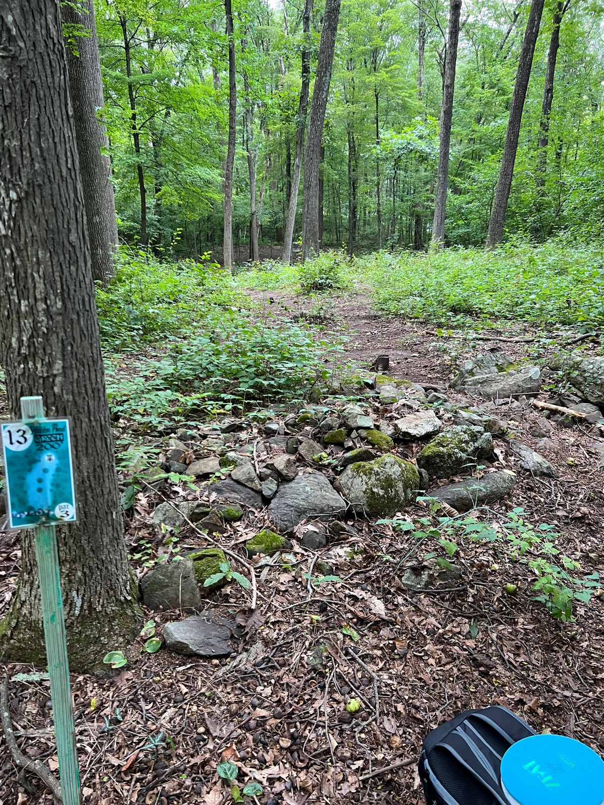 Hole #13