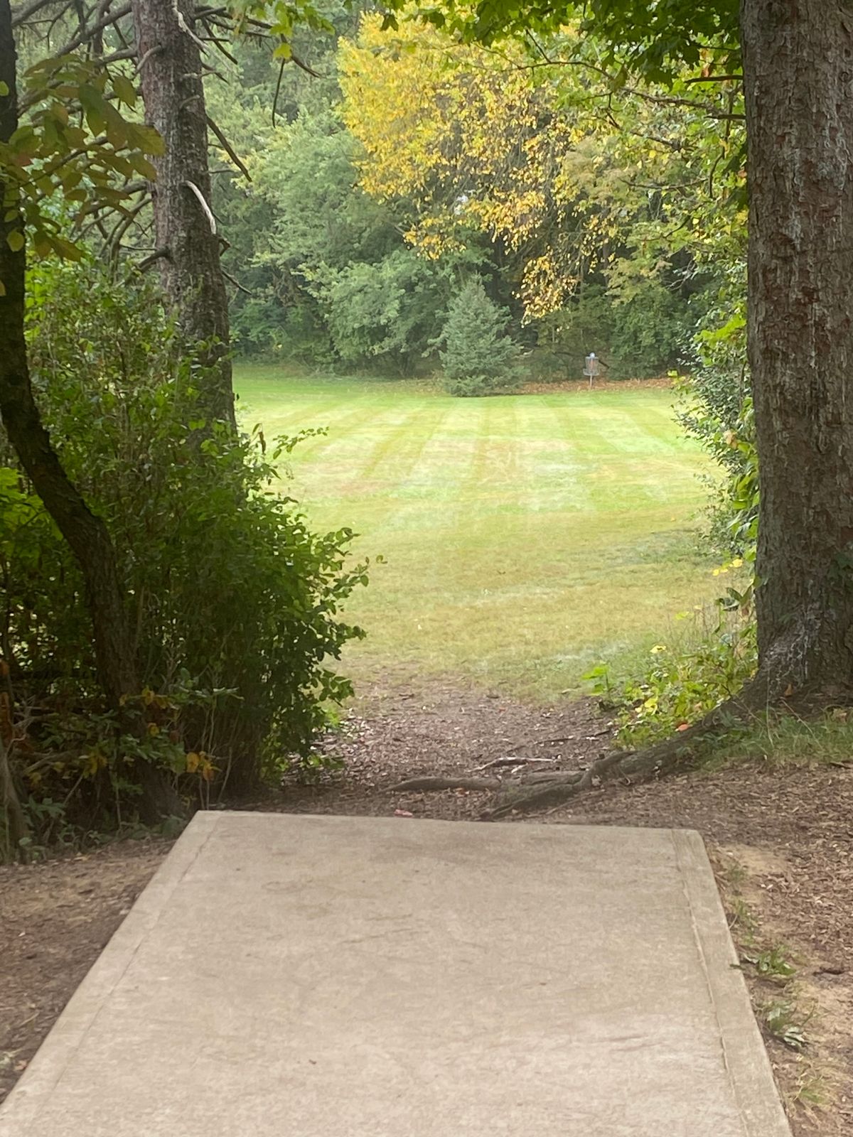 Hole 6