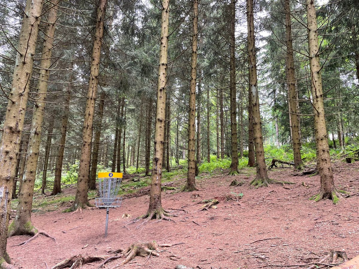 Lots of trees :-)