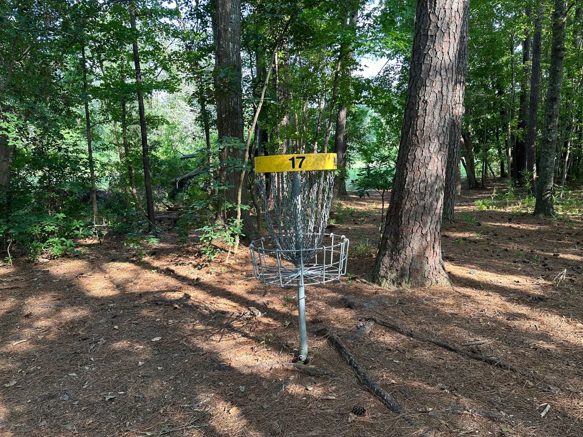 Hole 17 Basket