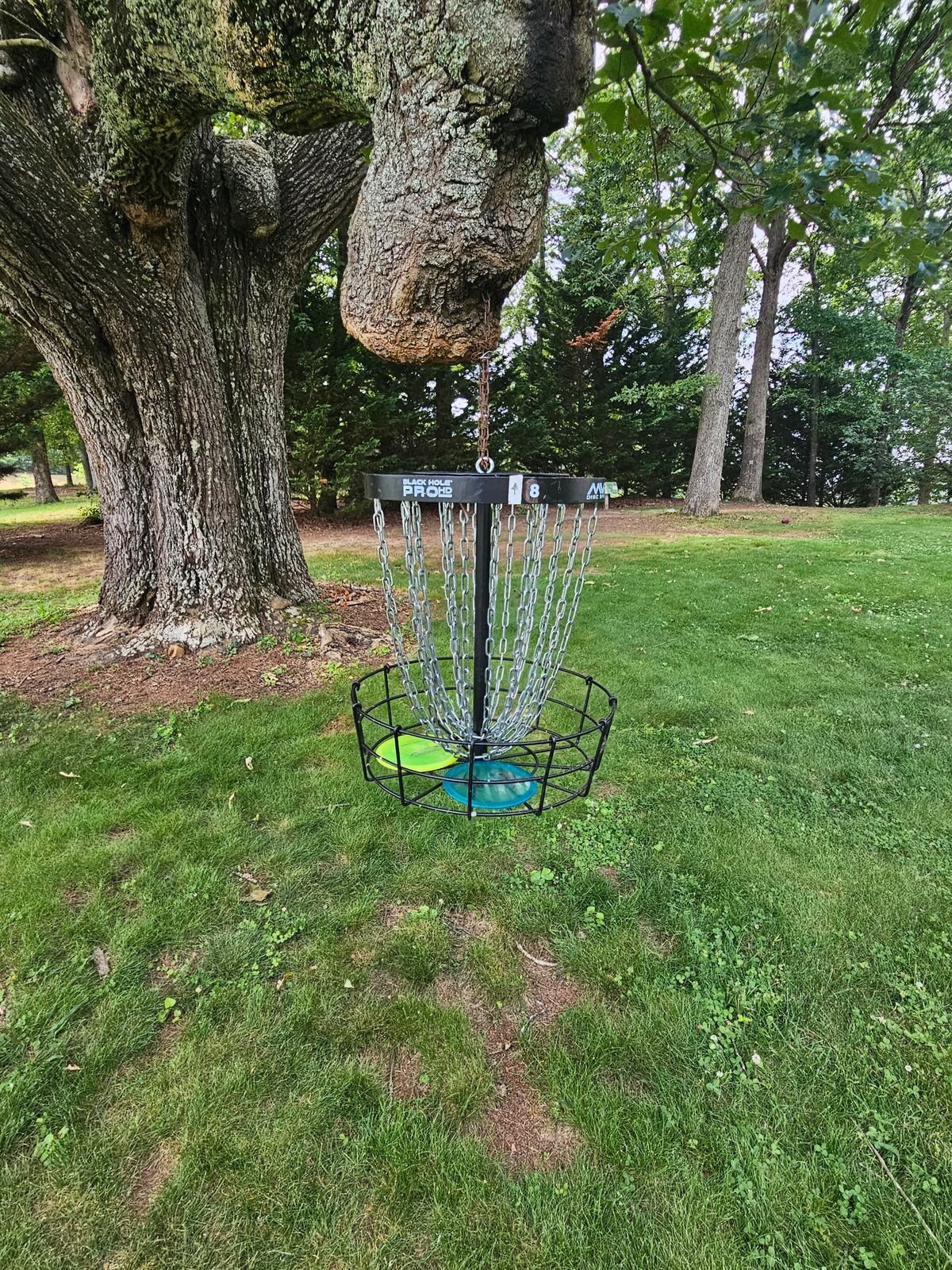 Floating Basket @ 8