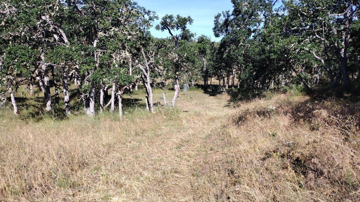 Hole 7 fairway