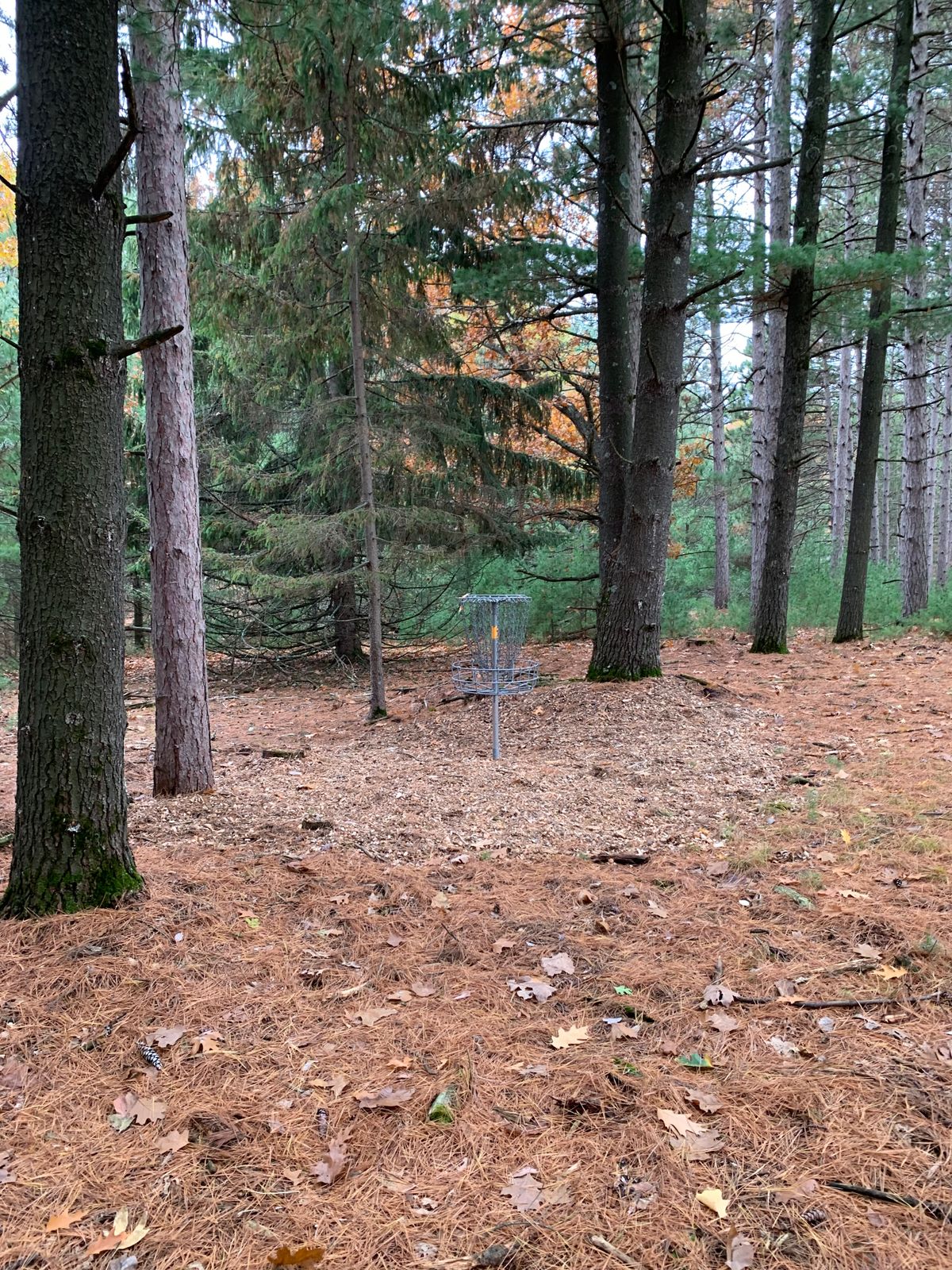 Hole 1 basket