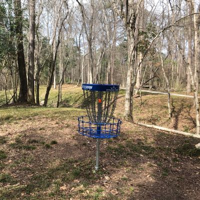 #1 basket to tee
