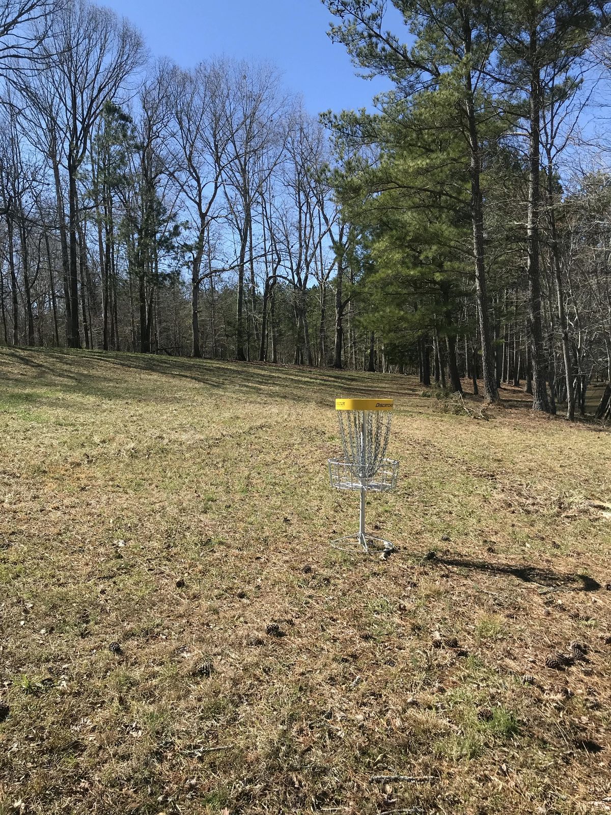 Hole 11 - basket to tee