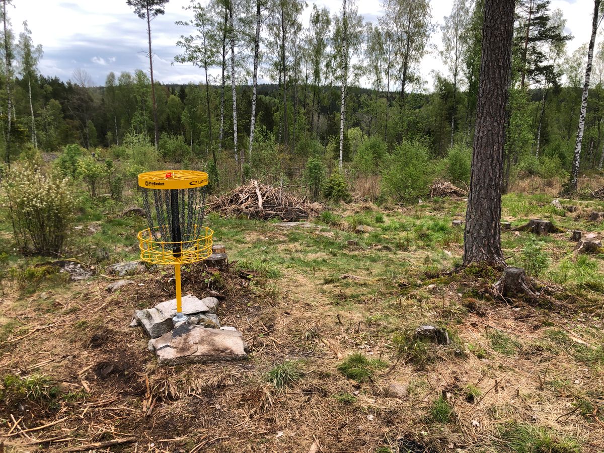 Hole 8