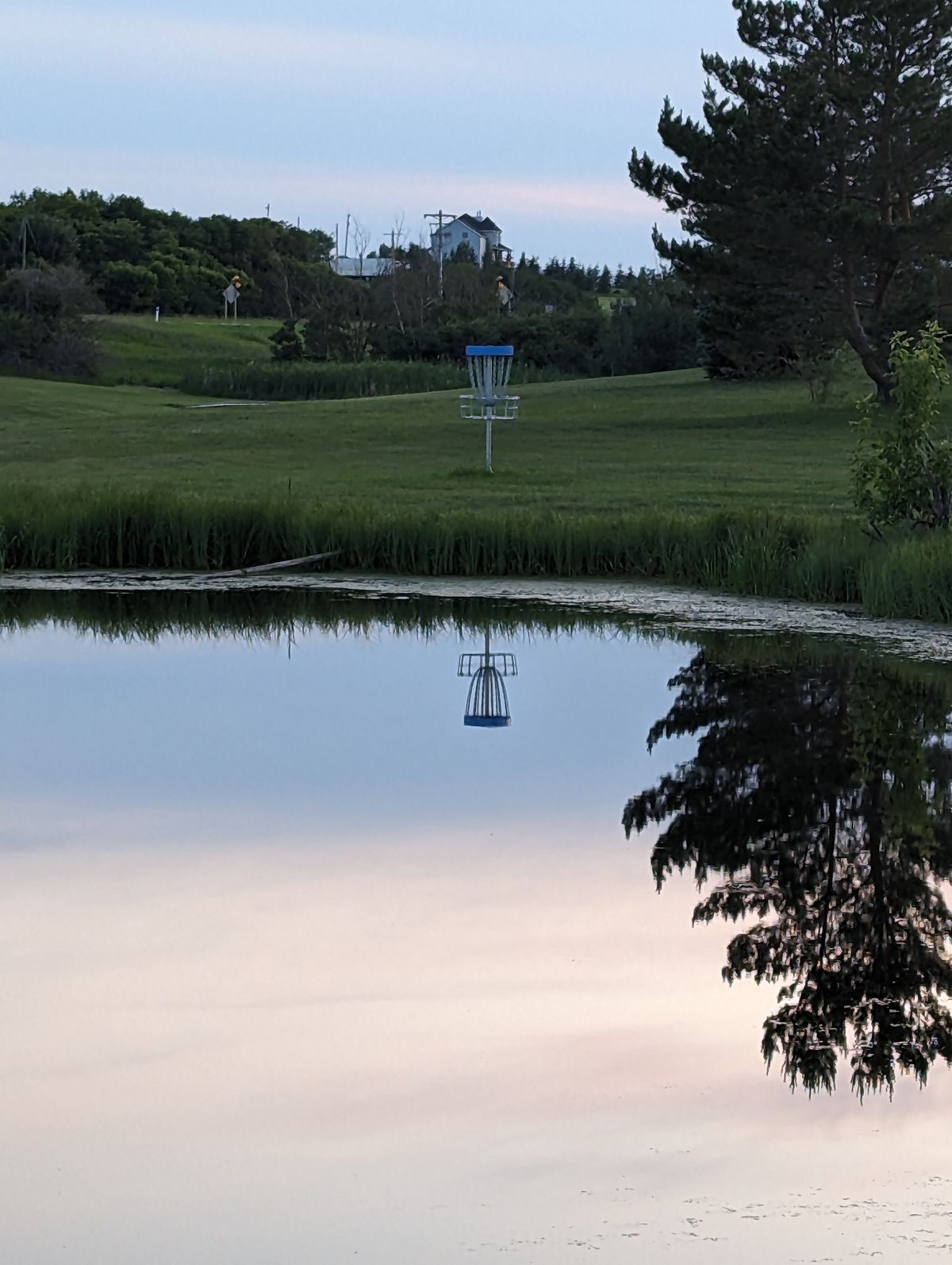 Basket Location