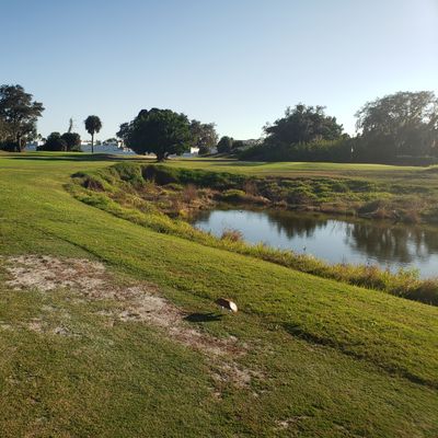 Course photo