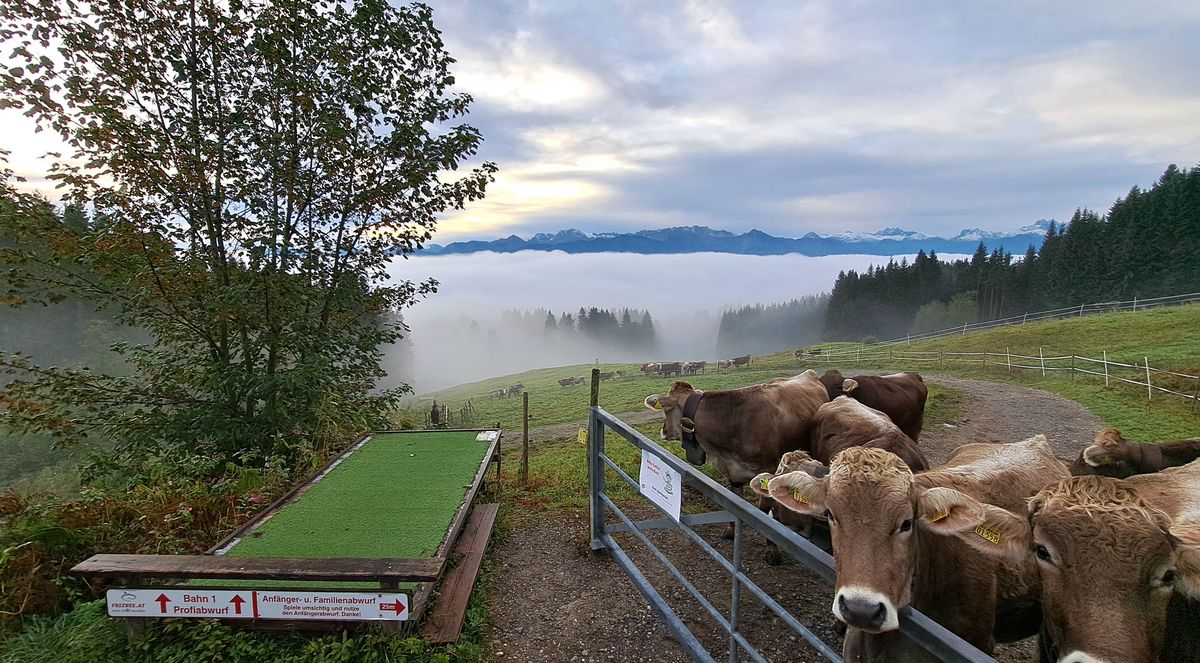 The Bavarian See greets our Cutting Crew!