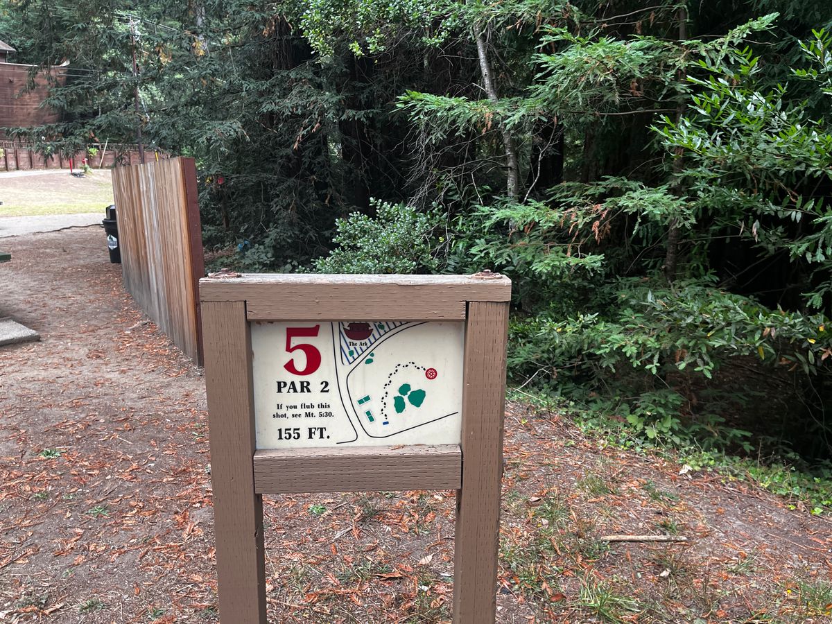 Hole 5 tee