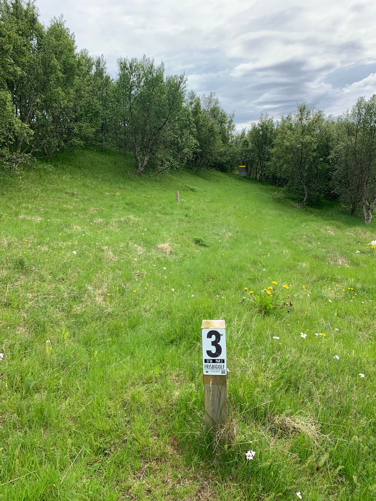 3rd hole