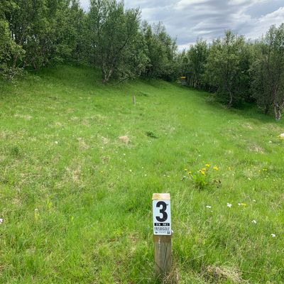 3rd hole