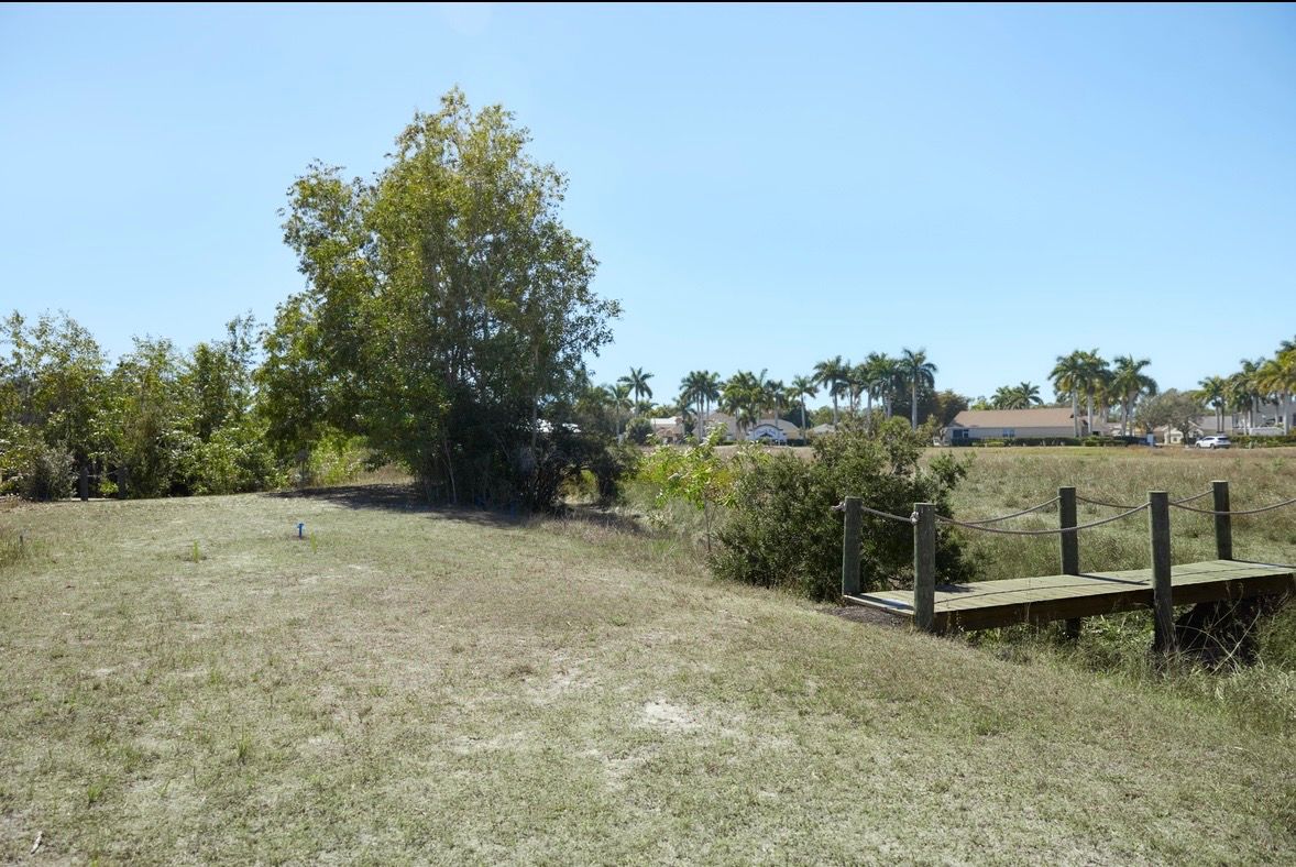 Hole 17 bridge/basket location