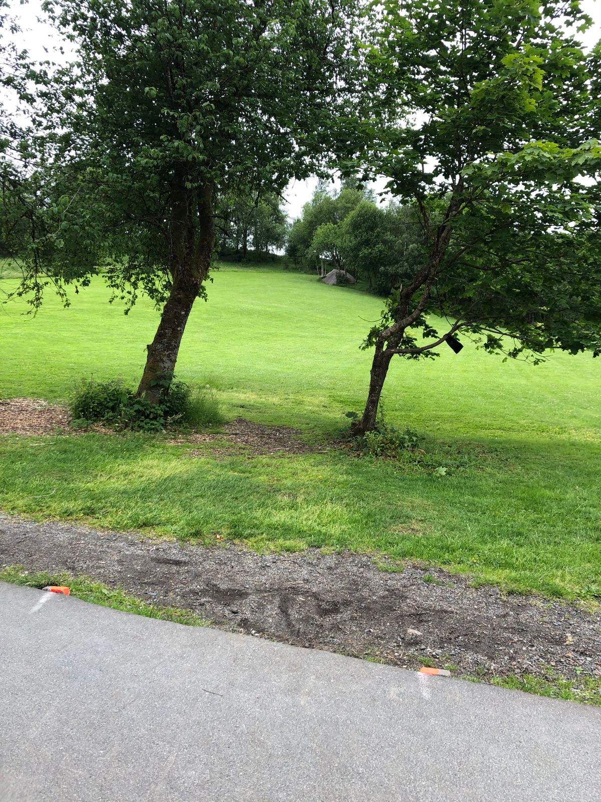 Hole 7 Tee