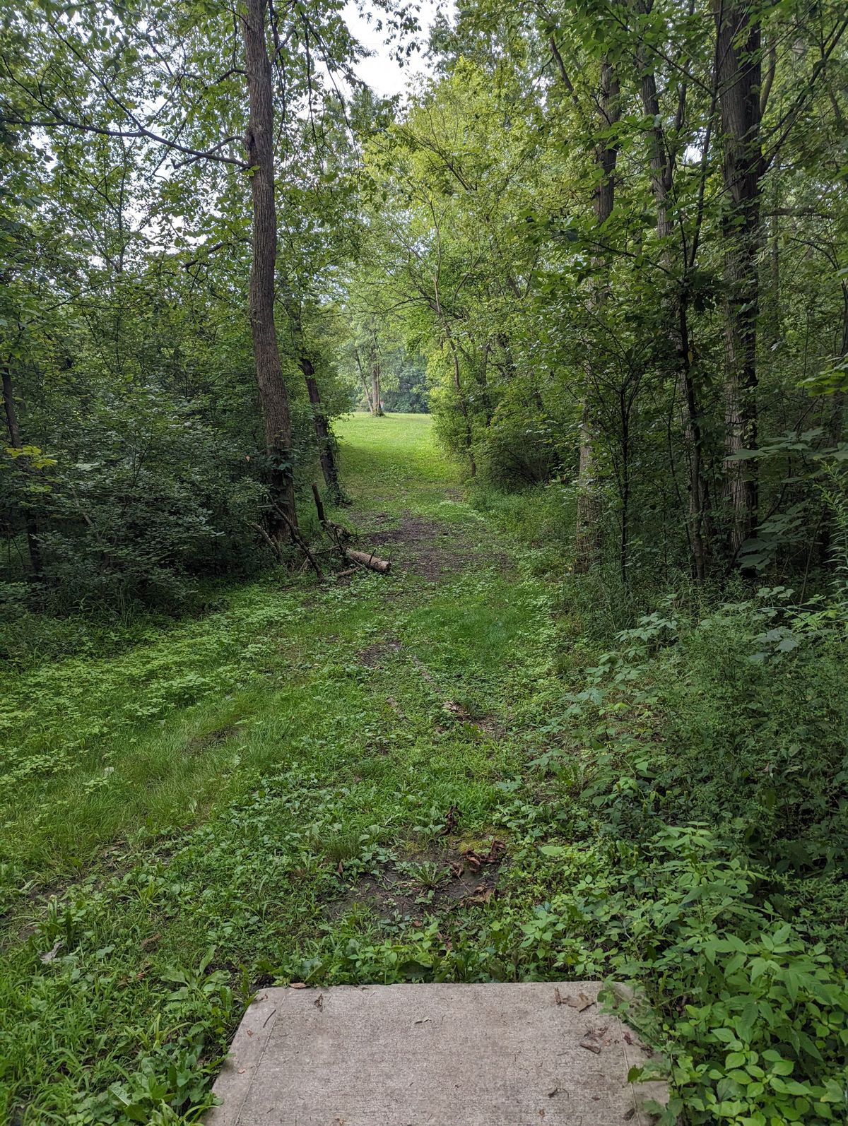 Hole 4