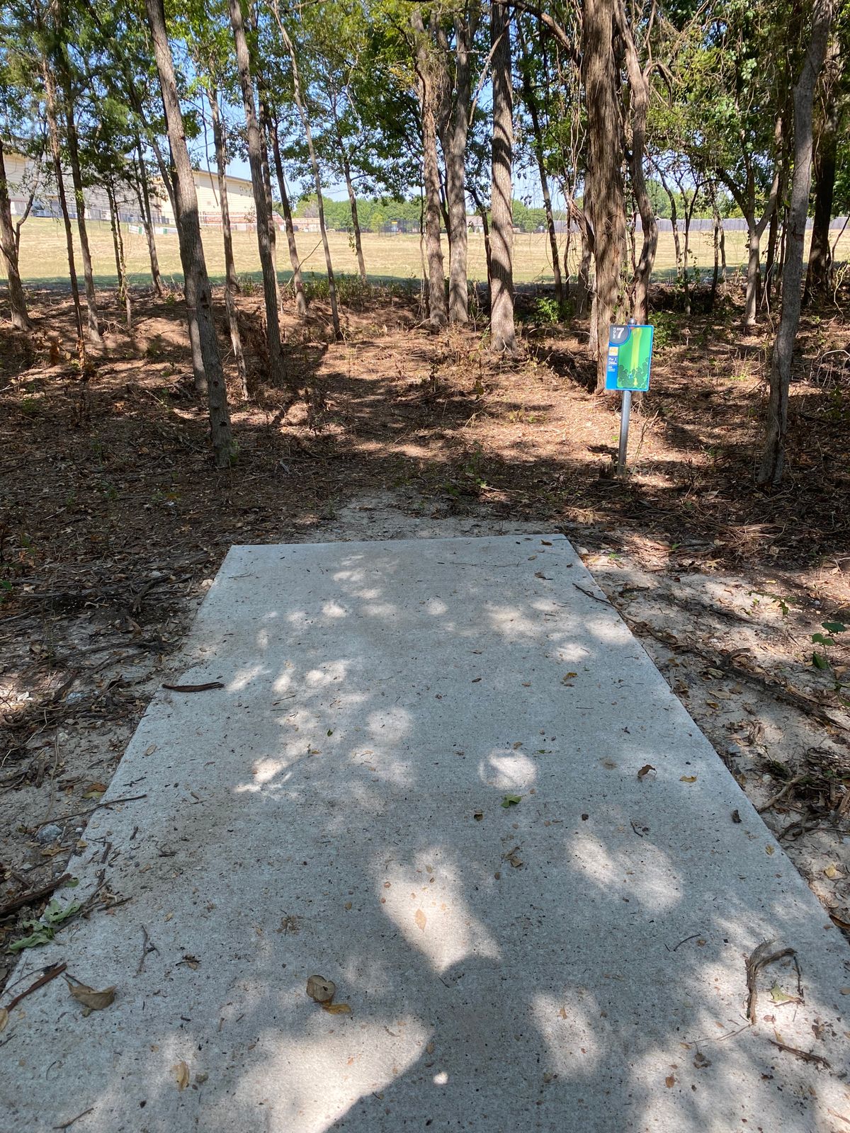 Hole 7 tee