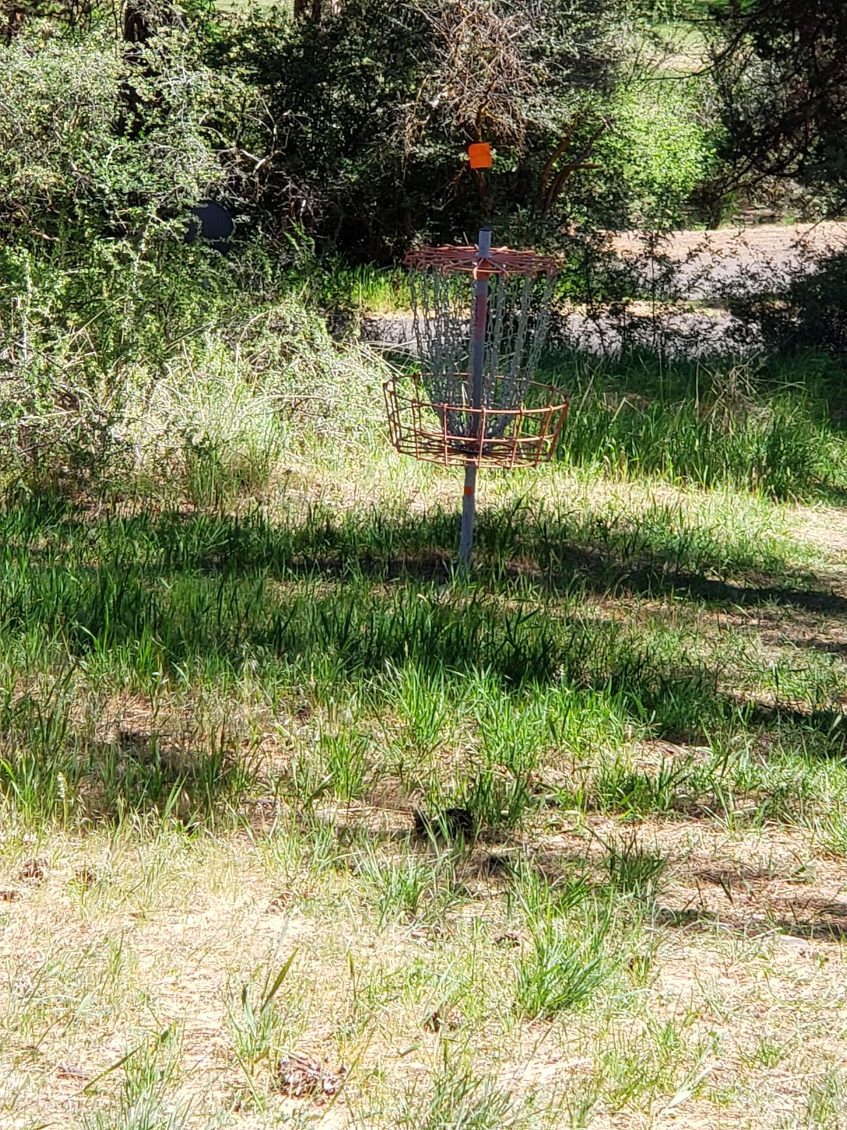 Hole 7