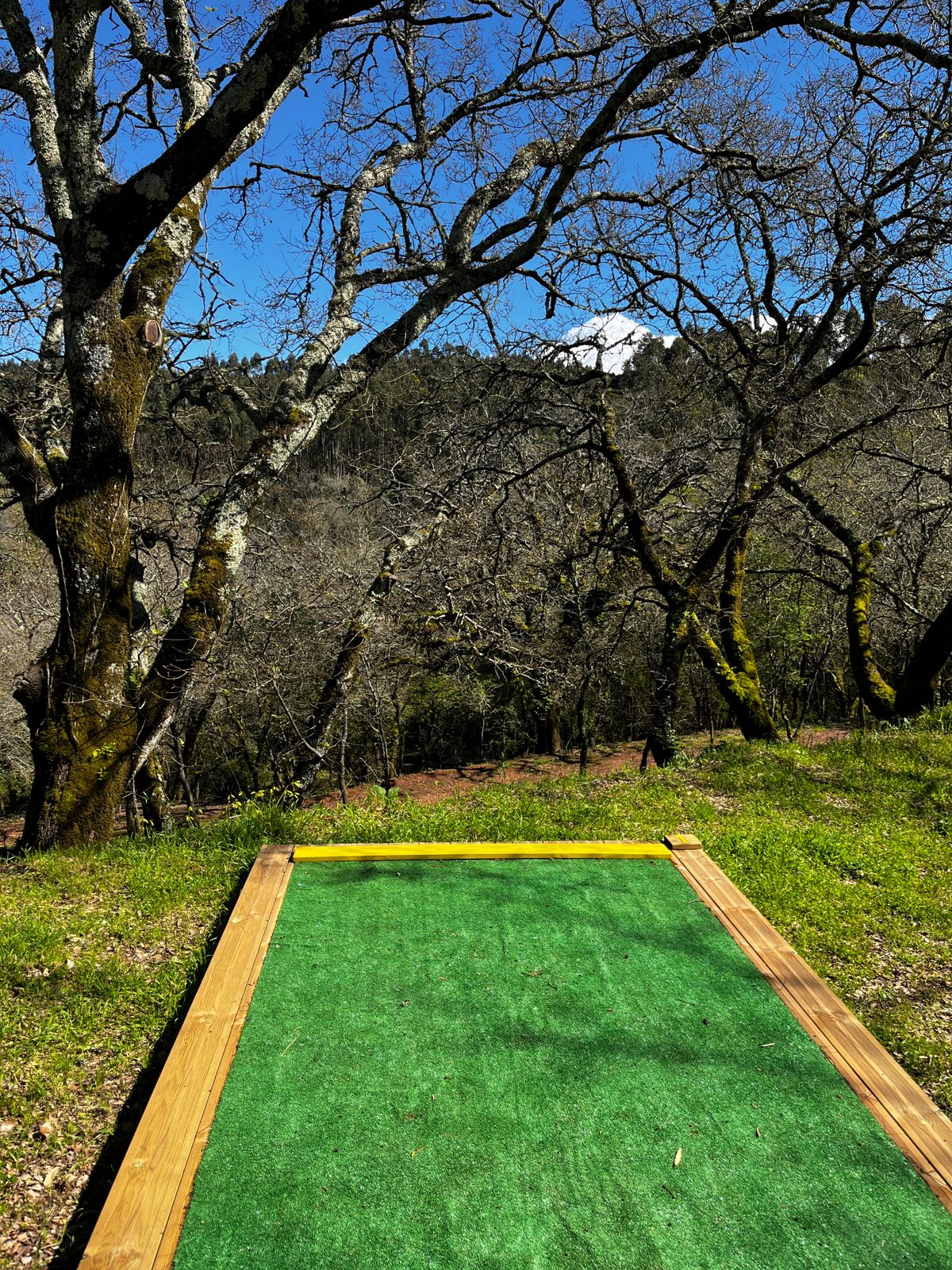 Hole 1 (Gold)