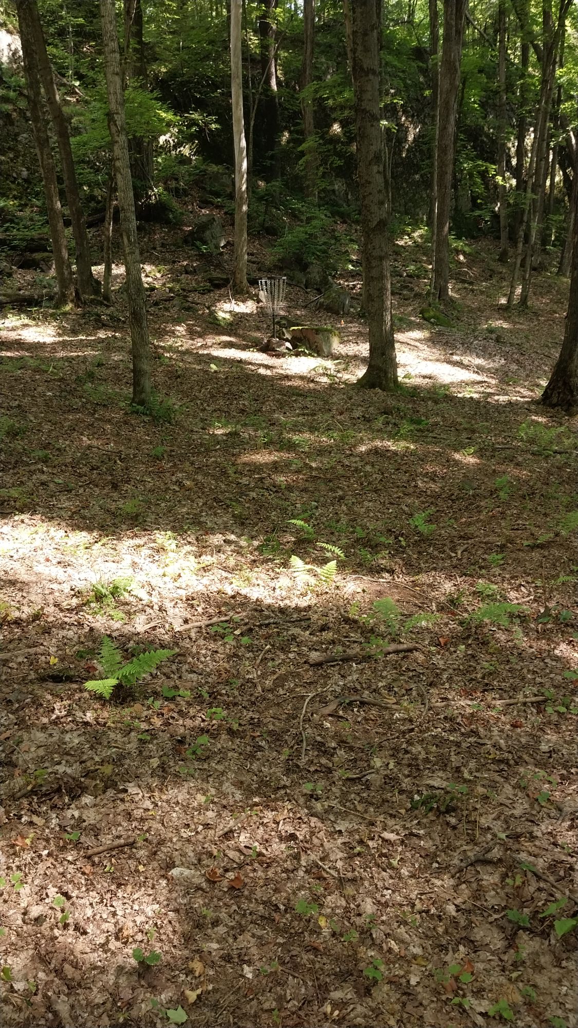 Hole 8 short