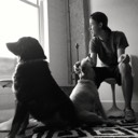 User avatar image