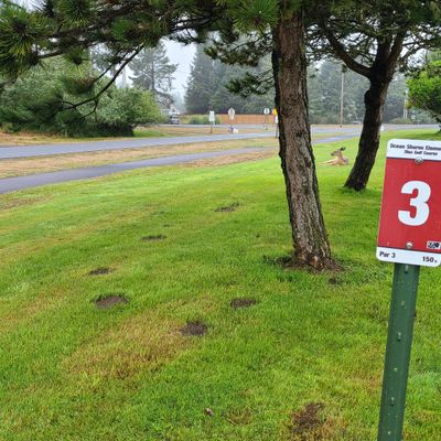 Watch out for deer hazards.