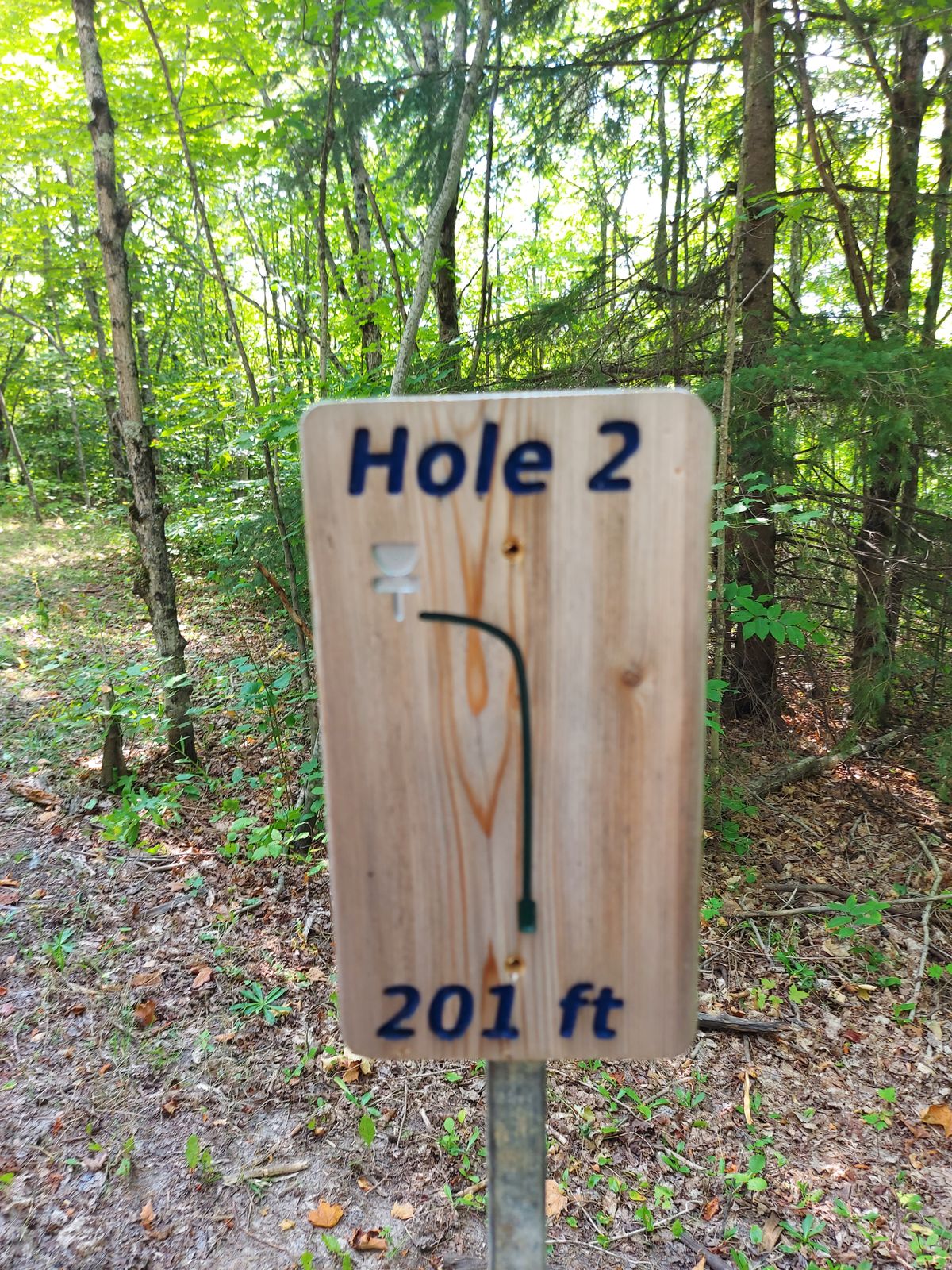 Hole sign #2.🍁☘🌳🍁