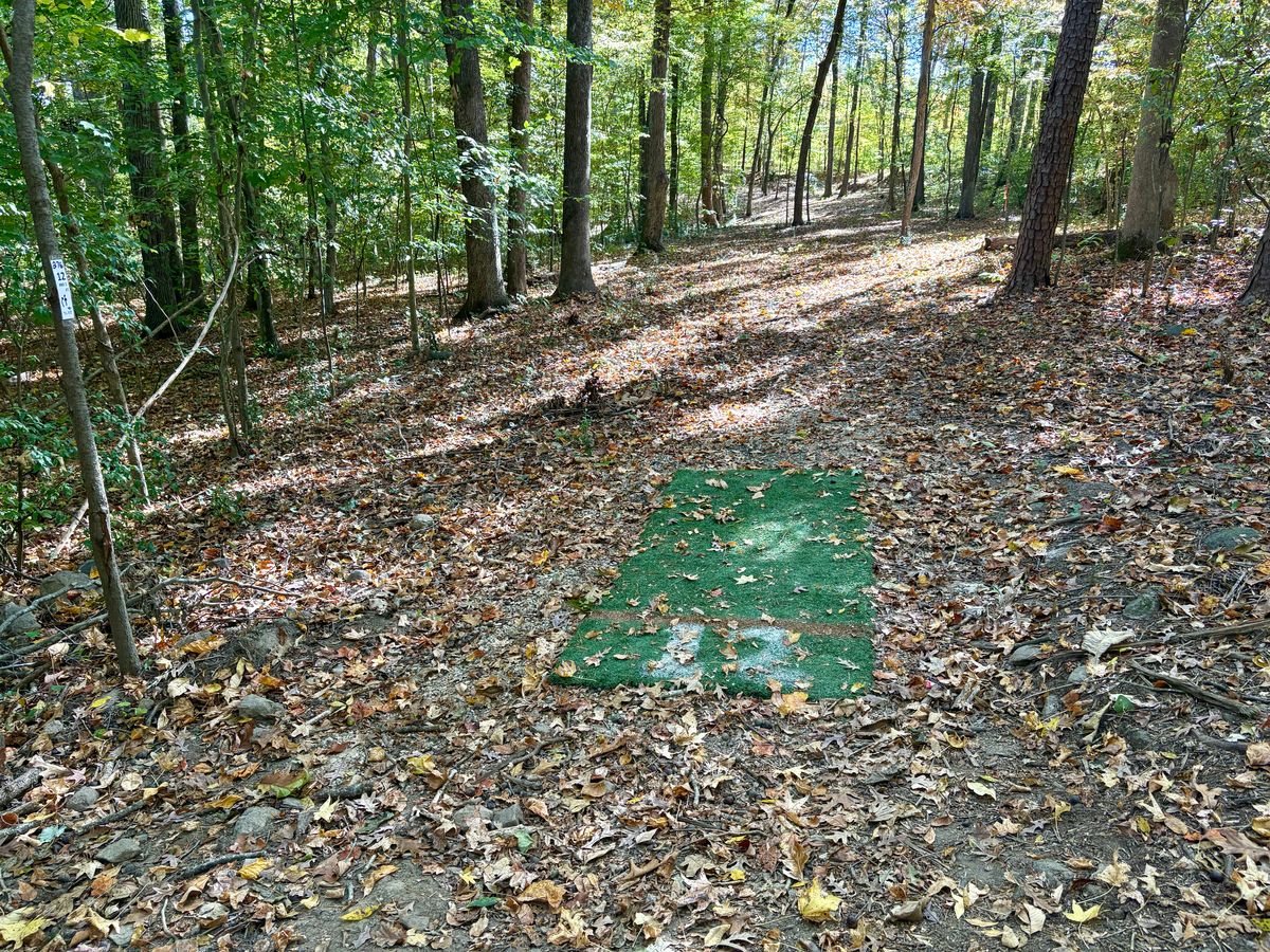 Hole 12 tee