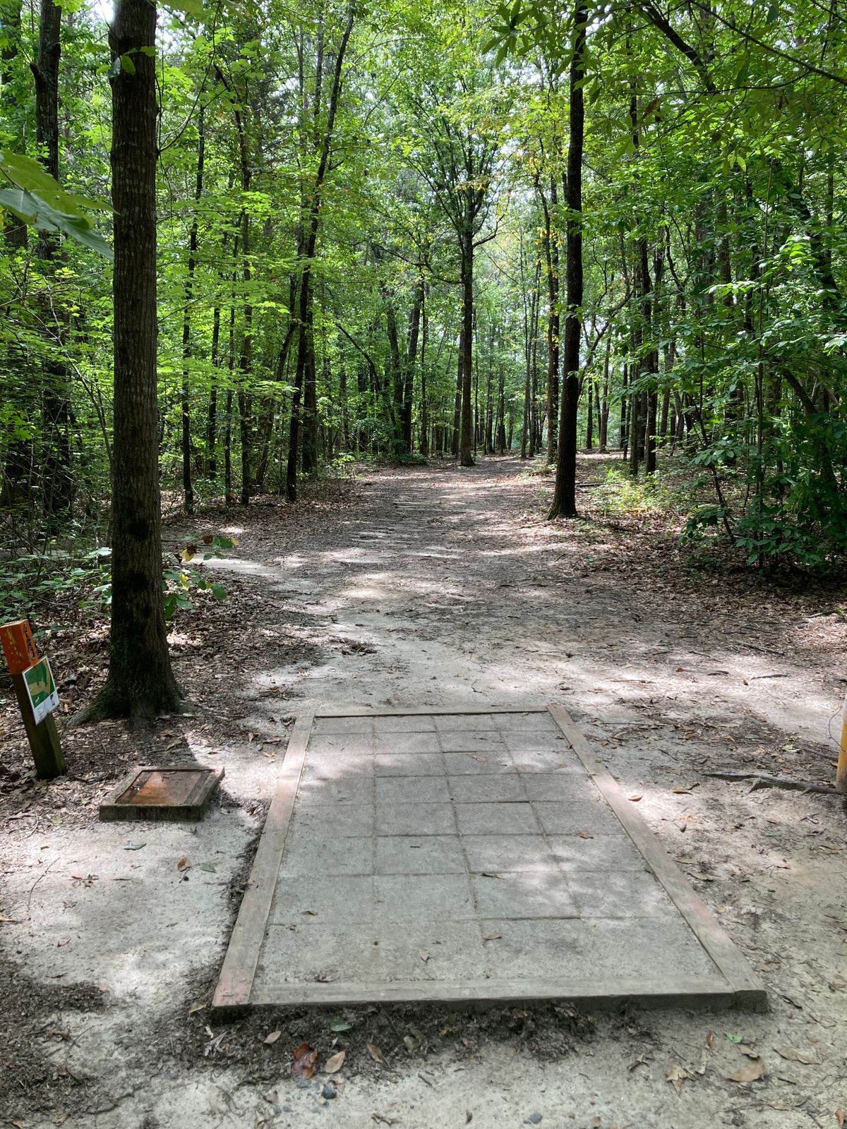 Hole 15 - Mando right of center tree - winding fairway the entire hole