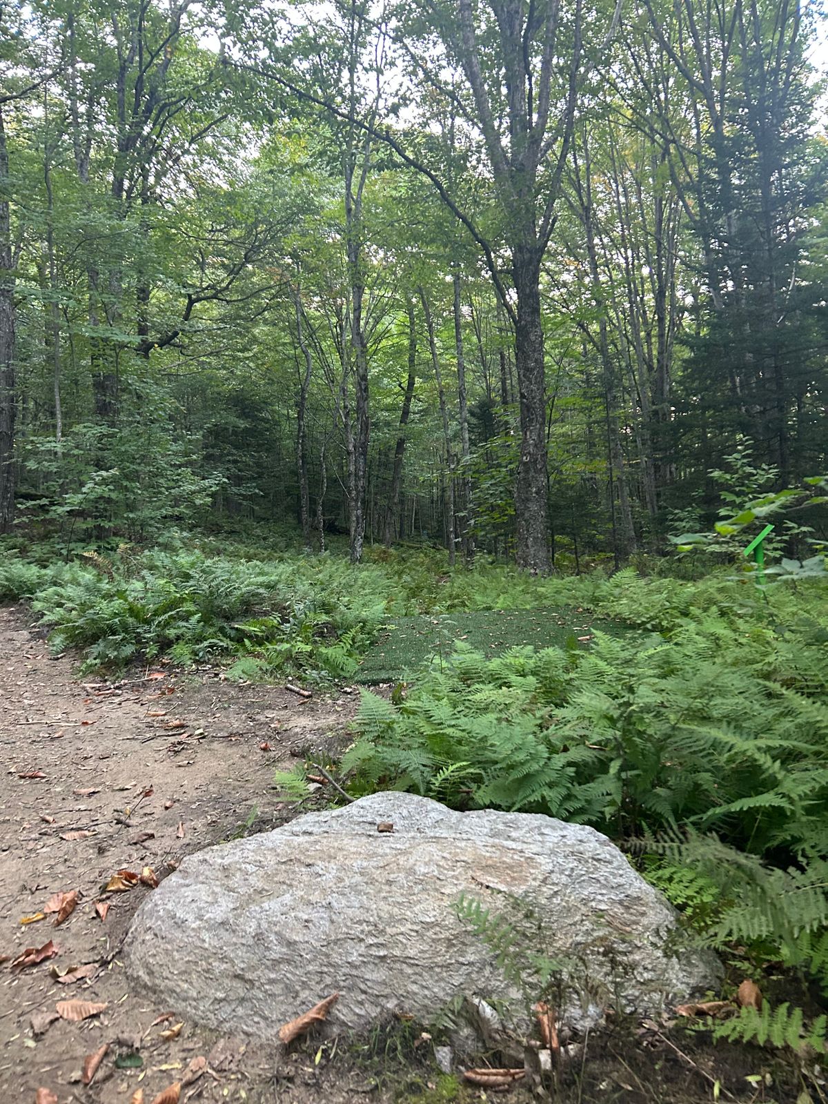 Hole 18 tee