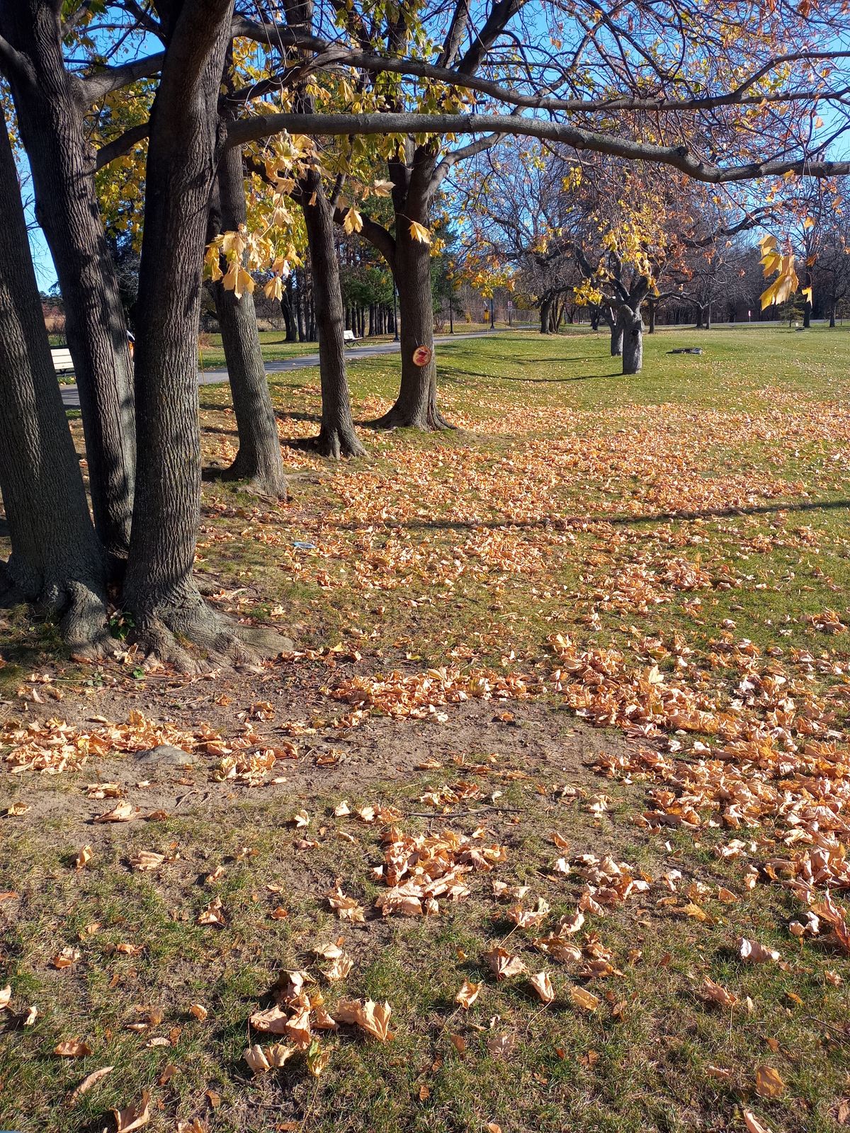Hole 2