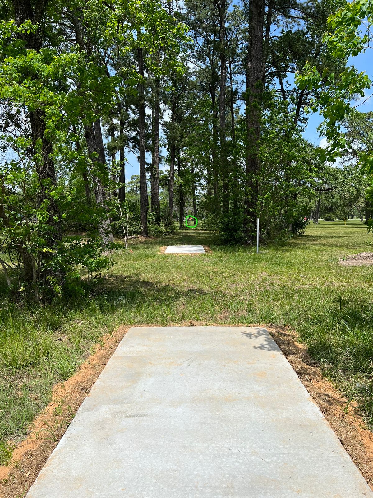 Hole 8 Long 
282
