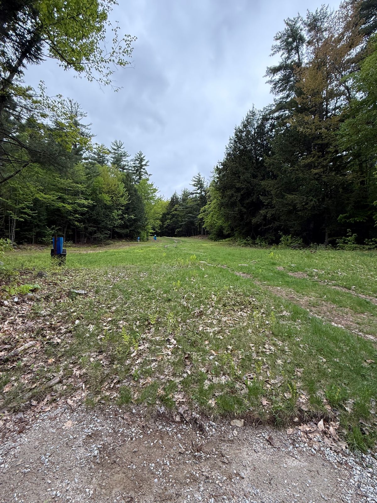 Hole 8