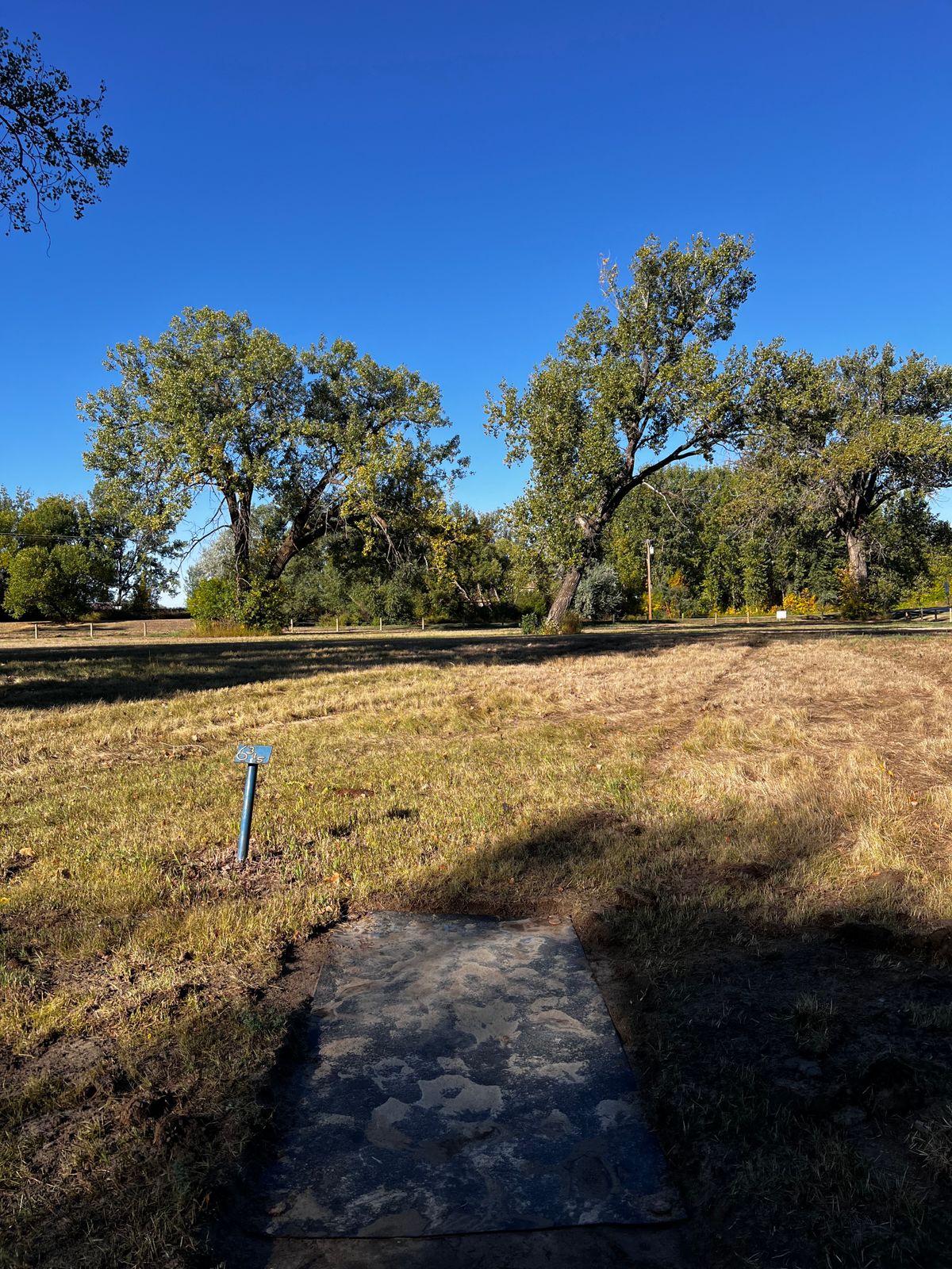 Tee 6
