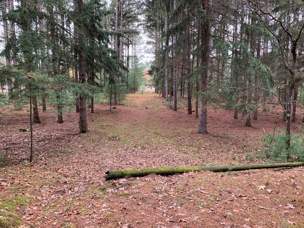 Hole 5 approach