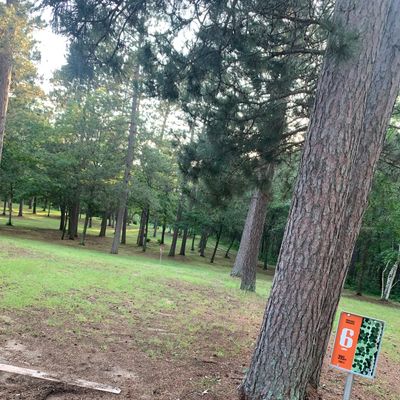 View of hole 6 tee pad.